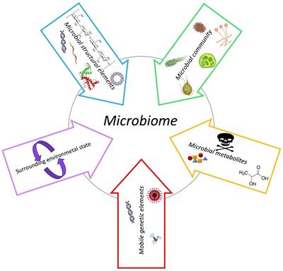 An overview of bats microbiota and its implication in transmissible diseases